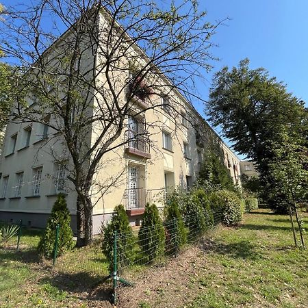 Apartament Centrum Rp Katowice Exterior foto